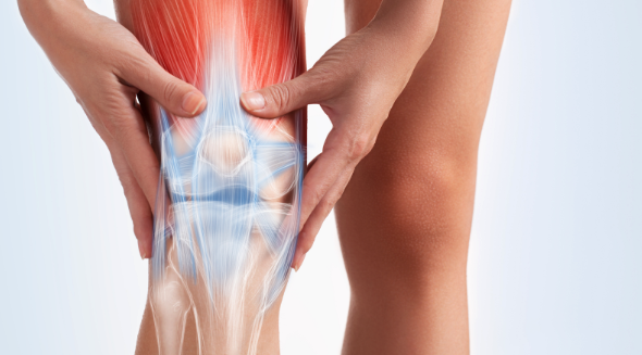 Person holding a knee with anatomical illustration highlighting joint structure, emphasizing pain management and regenerative treatments for knee issues.